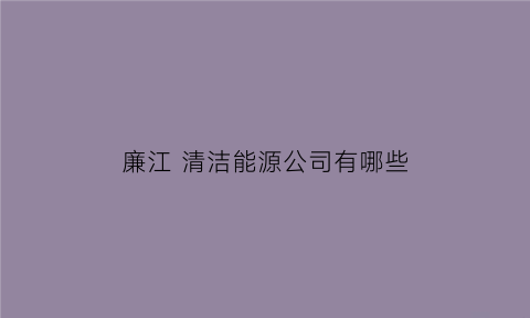 廉江 清洁能源公司有哪些